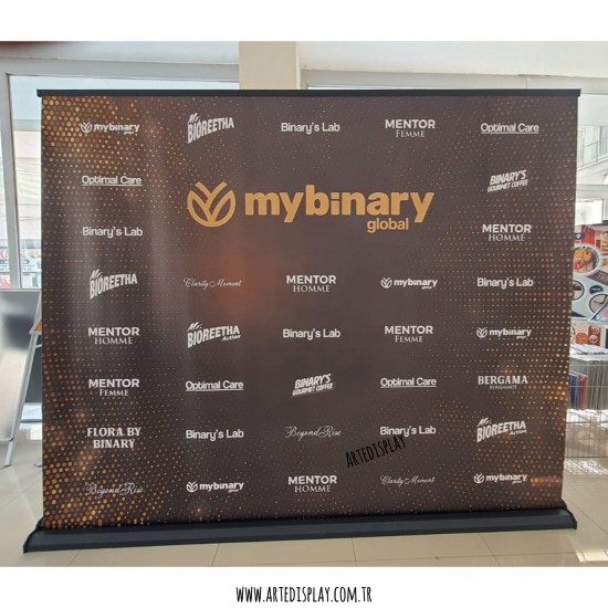Roll Up Banner Pro 250x200